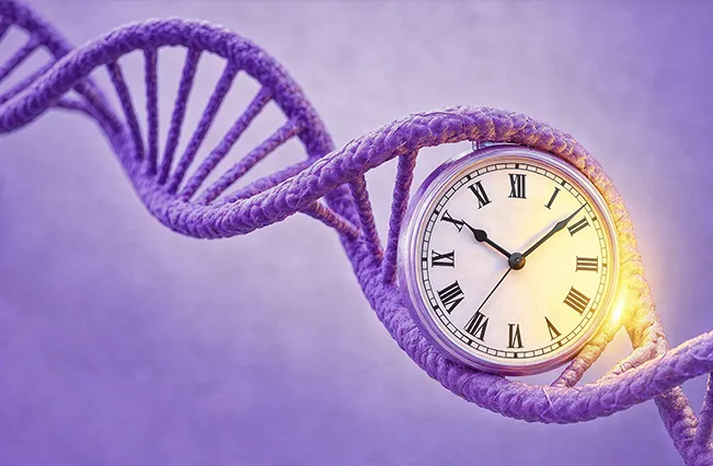 clock-dna-helix