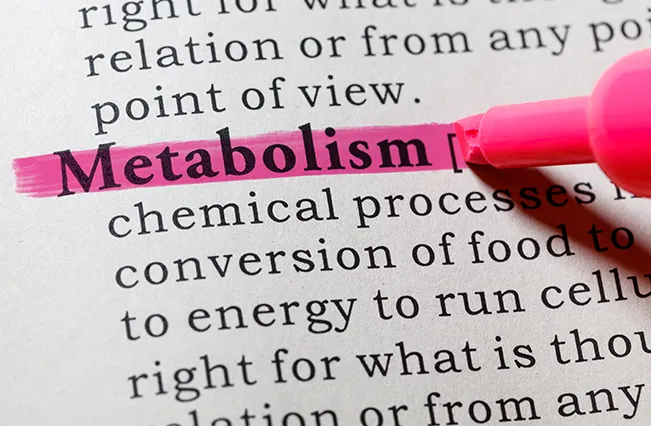 metabolic-pathways-FromTheDeskOfDrE