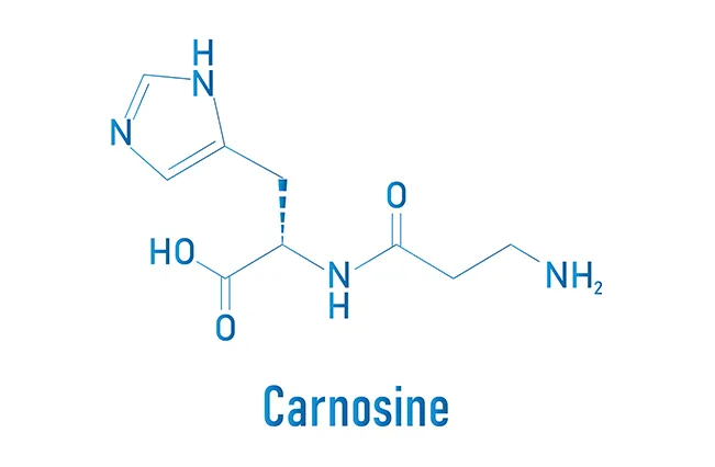 Carnosine-white-blue-2