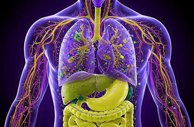 microplastics-in-body-purple