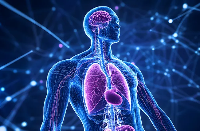brain-waves-nervouse-system-biolimitless-FromTheDeskOfDrE
